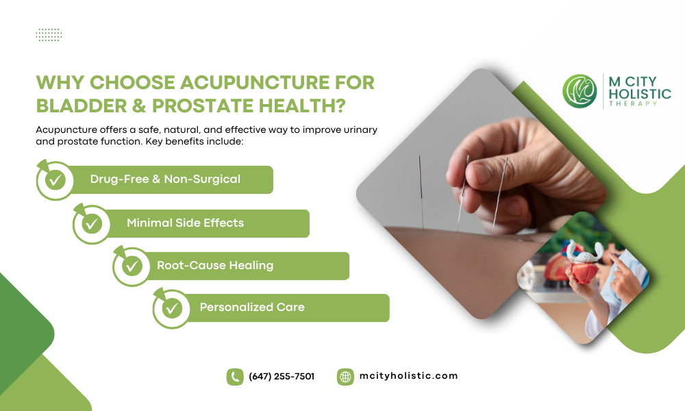 Acupuncture benefits for bladder and prostate health at M City Holistic.